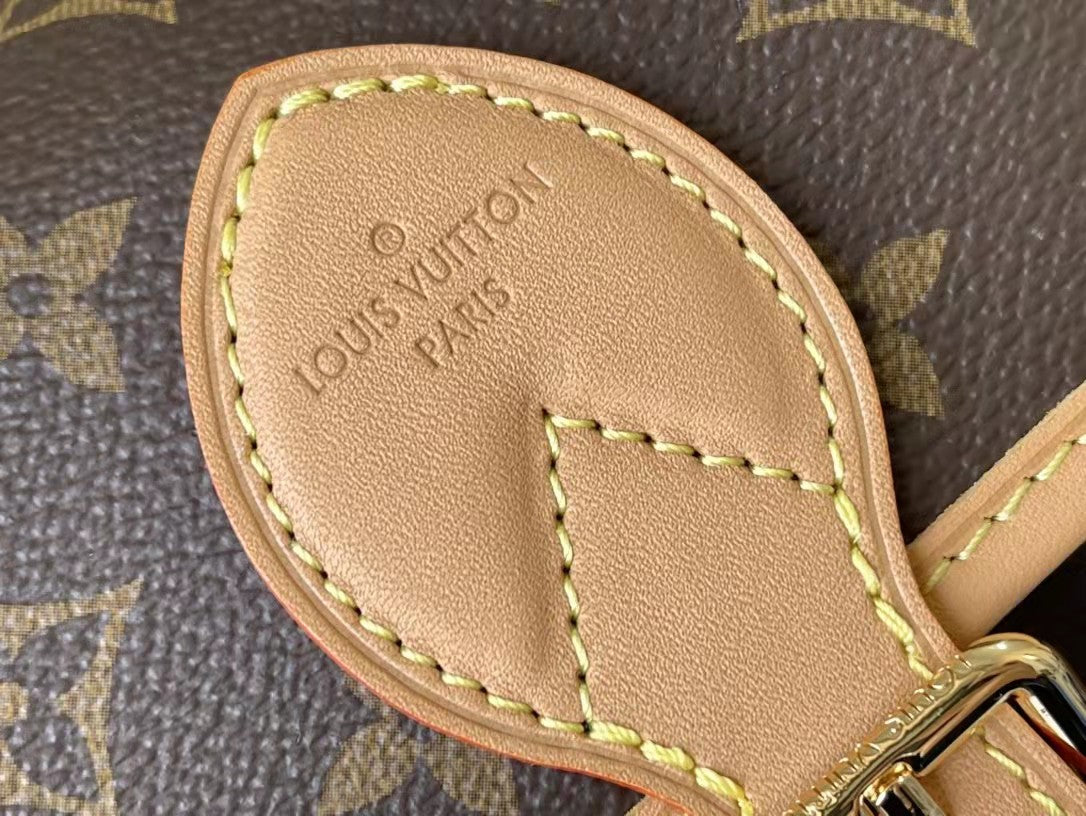 Louis Vuitton Diane Satchel - Vitkac shop online